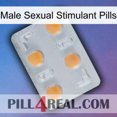 Male Sexual Stimulant Pills 24